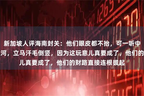新加坡人评海南封关：他们眼皮都不抬，可一听中国要在泰国挖条运河，立马汗毛倒竖，因为这玩意儿真要成了，他们的财路直接连根拔起