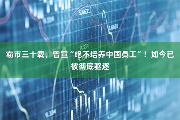 霸市三十载，曾宣“绝不培养中国员工”！如今已被彻底驱逐