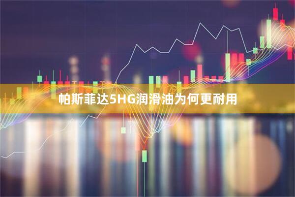 帕斯菲达5HG润滑油为何更耐用
