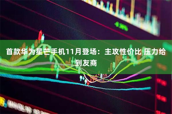 首款华为星芒手机11月登场：主攻性价比 压力给到友商